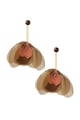 Brown Picture5