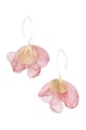 Pink Picture6