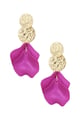 fuchsia Picture7