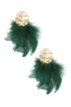 Verde Immagine6