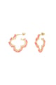 arancia Immagine4