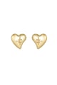 Gold color Picture2