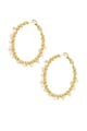 Gold color Picture4