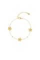 Gold color Picture2
