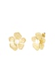 Goldfarbe Bild2