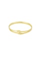 Gold color Picture2