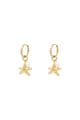 Gold color Picture2
