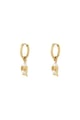 Gold color Picture2