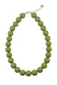 herbe verte Image3