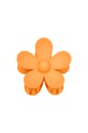 orange Picture6