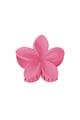 fuchsia Picture8