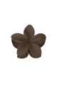 Brown Picture5