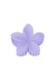 Purple Picture13