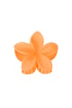 orange Picture9