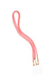 Babyrosa Bild7