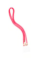 Rosa Bild10