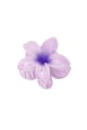 Rosa baby Immagine10
