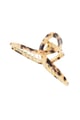 Marrone Immagine2