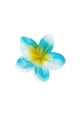 Blu Immagine5