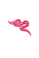 fuchsia Picture8