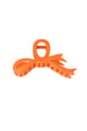 arancia 