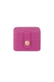 fuchsia Picture4