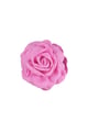 fucsia Immagine4