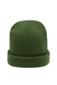 Olive Bild10