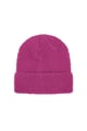 fuchsia Picture3
