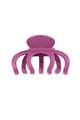 fuchsia Picture5