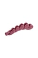 fuchsia Picture4