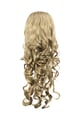 Kamel Bild2