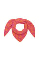 arancia Immagine2
