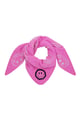 fuchsia Image5