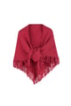 Rosso vino Immagine4