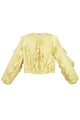 Yellow/L Picture4