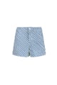 Blue/L 