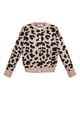 Camel/L/XL Picture3