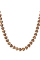 brown Picture4
