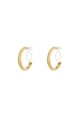 Gold color Picture2