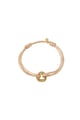 Apricot Picture13