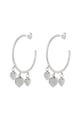couleur argent Image2
