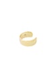 Gold color