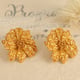 EH791 Gold Earrings