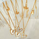 XL109 White Shell Gold Necklace