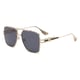 C2 Gold/Gray/8 Picture5