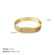 Gold color Picture2