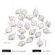 White Pearl C Picture2
