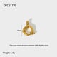 DFC61720 Bild8
