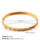 SZ255WEG white zirconium gold bracelet/2 Picture7